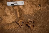 Phát hiện bộ xương cổ đại tại Tây Ban Nha thay đổi hiểu biết về tổ tiên