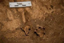 Phát hiện bộ xương cổ đại tại Tây Ban Nha thay đổi hiểu biết về tổ tiên