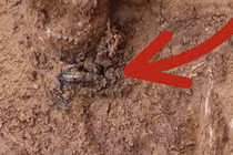 Phát hiện ngôi mộ cổ kỳ lạ tại Frankfurt với bùa hộ mệnh bí ẩn