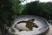 9 ngôi mộ cổ tại Trung Quốc hé lộ bí ẩn hậu duệ Tư Mã Ý