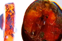 Viên đá quý 1.700 năm hé lộ bí mật giới tinh hoa La Mã