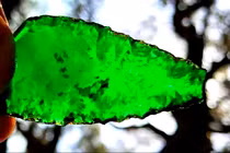 Sửng sốt mũi giáo thủy tinh cực hiếm xuất hiện trên đảo Úc