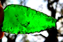 Sửng sốt mũi giáo thủy tinh cực hiếm xuất hiện trên đảo Úc