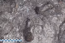 Bí ẩn dấu chân trẻ em xuất hiện giữa công trình Ai Cập nghìn năm