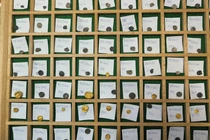 Phát lộ 500 đồng tiền vàng người Celt nằm sâu dưới lòng đất