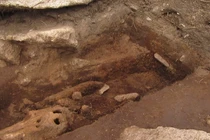 Khai quật tại Guernsey phát hiện di tích chôn cất cá heo cổ xưa