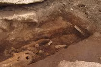 Khai quật tại Guernsey phát hiện di tích chôn cất cá heo cổ xưa