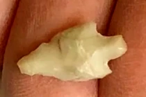 Phát hiện mũi tên 7.000 năm tuổi hé lộ bí ẩn người tiền sử