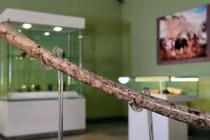 Phát hiện cây sáo xương cổ 8.000 năm khiến giới khảo cổ chấn động