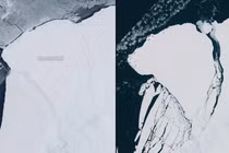 Tảng băng khổng lồ ở Nam Cực sắp biến mất sau 40 năm trôi dạt