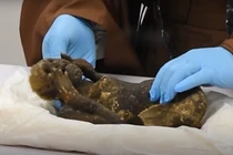 Bí ẩn xác ướp nàng tiên cá 300 năm tuổi Nhật Bản