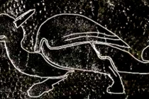 Phát hiện cổ vật Thời Trung Cổ với hình rồng thần thoại tại Yorkshire