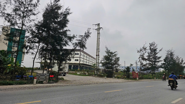 Ly do Hai Duong thu hoi dat cua Cong ty thuc pham Tin Tin