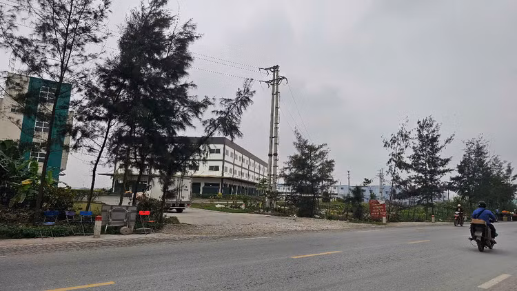 Ly do Hai Duong thu hoi dat cua Cong ty thuc pham Tin Tin