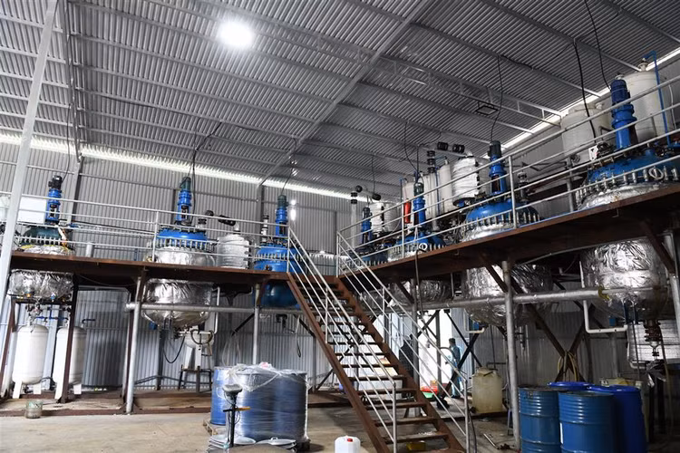 Can canh xuong san xuat ma tuy lon nhat vua bi triet pha-Hinh-7