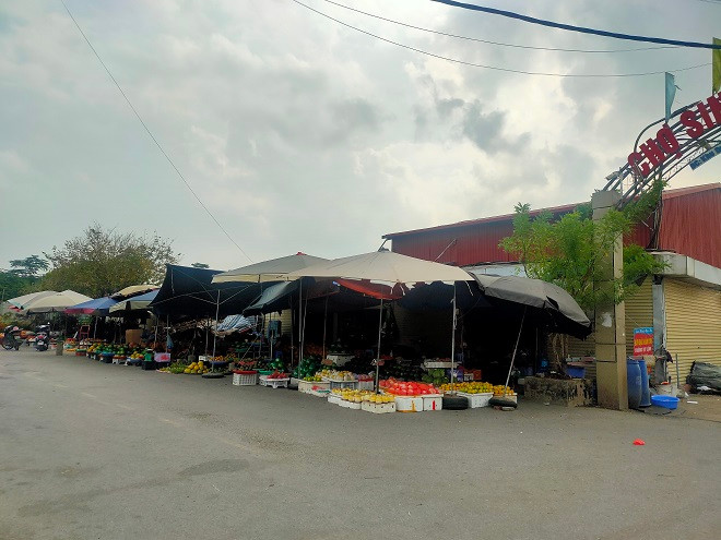 Khu chợ sinh vật cảnh trong công viên hoạt động như một chợ dân sinh.