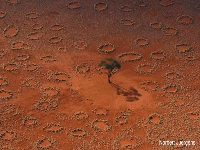 Bi an “vong tron than tien” xuat hien o 15 nuoc, chuyen gia noi gi?-Hinh-2