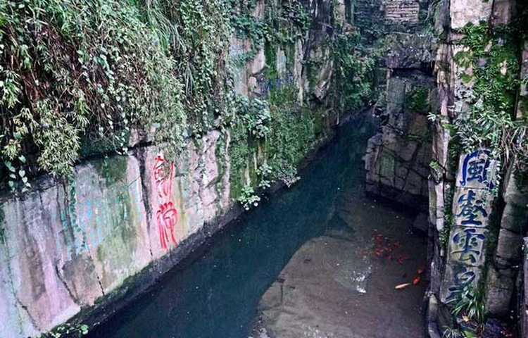 Thuc hu lang mo co 3.000 thanh bao kiem khien bao nguoi khao khat-Hinh-8