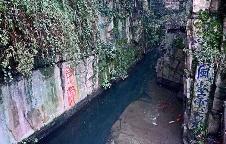 Thuc hu lang mo co 3.000 thanh bao kiem khien bao nguoi khao khat-Hinh-8