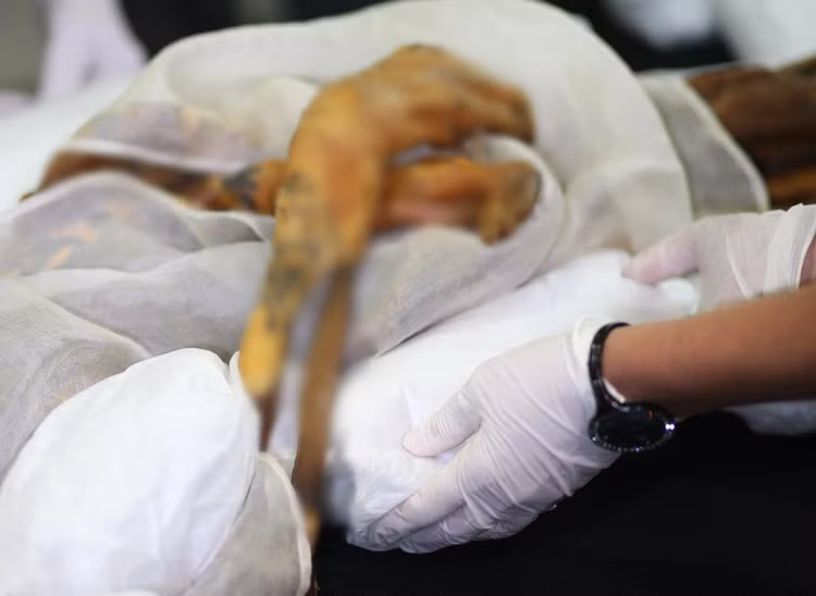 Huyen bi ba “loi nguyen xac uop” am anh nhat moi thoi dai-Hinh-8