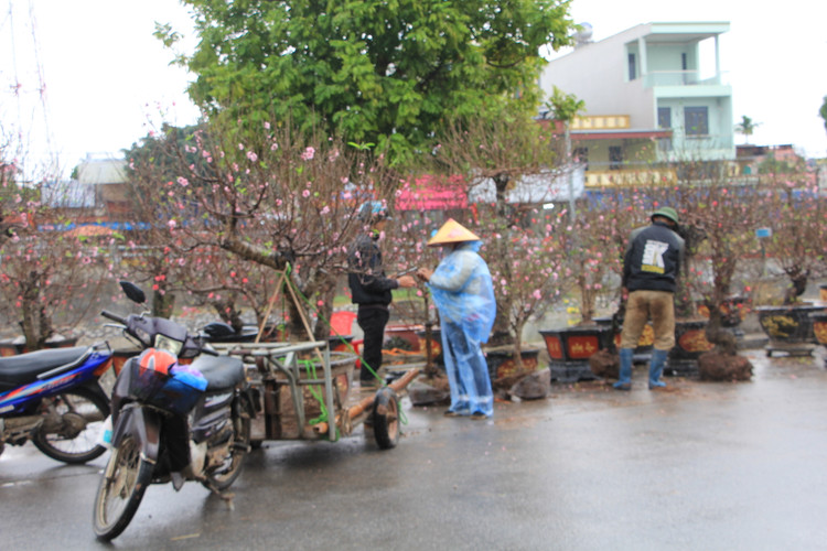 Nguoi dan doi mua, chiu ret “cho Tet” ve nha