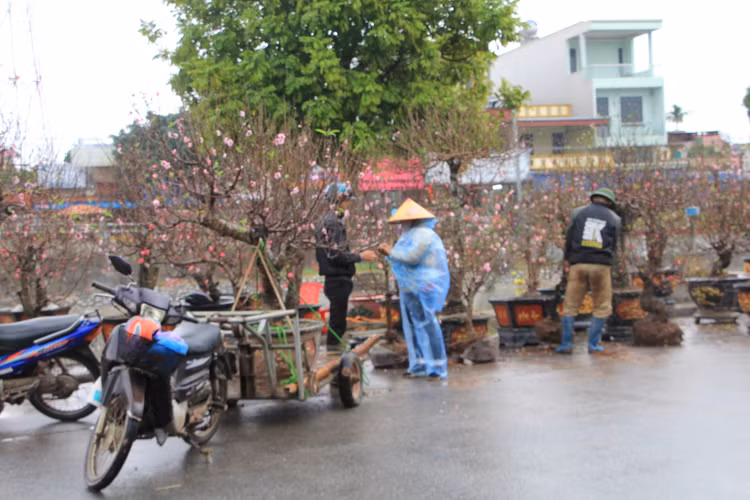 Nguoi dan doi mua, chiu ret “cho Tet” ve nha