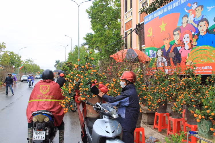 Nguoi dan doi mua, chiu ret “cho Tet” ve nha-Hinh-5