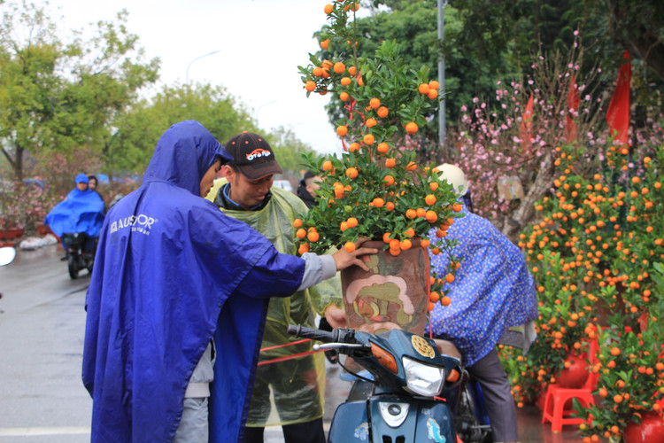 Nguoi dan doi mua, chiu ret “cho Tet” ve nha-Hinh-4