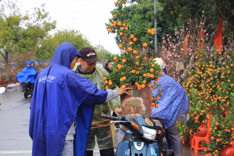 Nguoi dan doi mua, chiu ret “cho Tet” ve nha-Hinh-4
