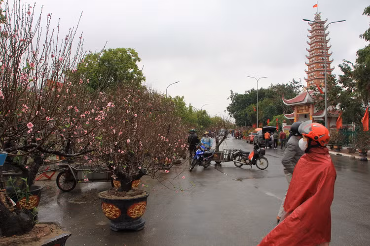 Nguoi dan doi mua, chiu ret “cho Tet” ve nha-Hinh-3