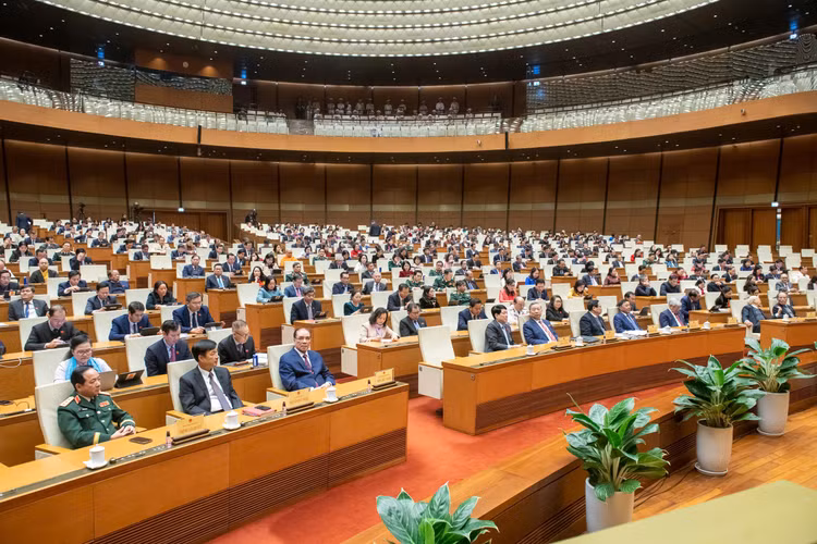 Sau sap xep, se kiem tra chuyen nganh thay vi thanh tra