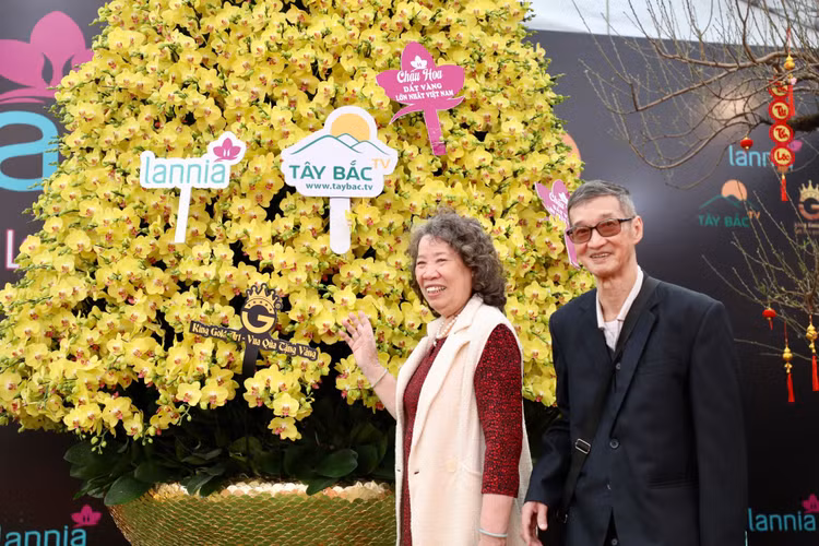 Choang voi chau lan ho diep “khung” gia gan 1,7 ti o Ha Noi-Hinh-7