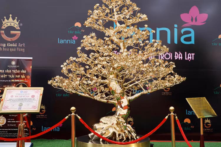 Can canh mai ma vang 24K lon nhat Viet Nam gia gan 6 ti