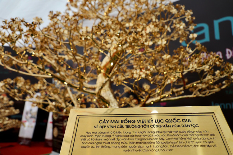 Can canh mai ma vang 24K lon nhat Viet Nam gia gan 6 ti-Hinh-6