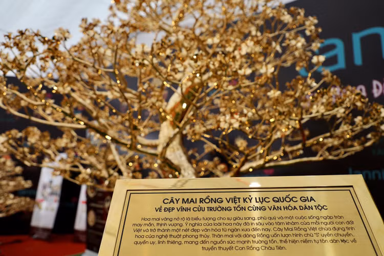 Can canh mai ma vang 24K lon nhat Viet Nam gia gan 6 ti-Hinh-6