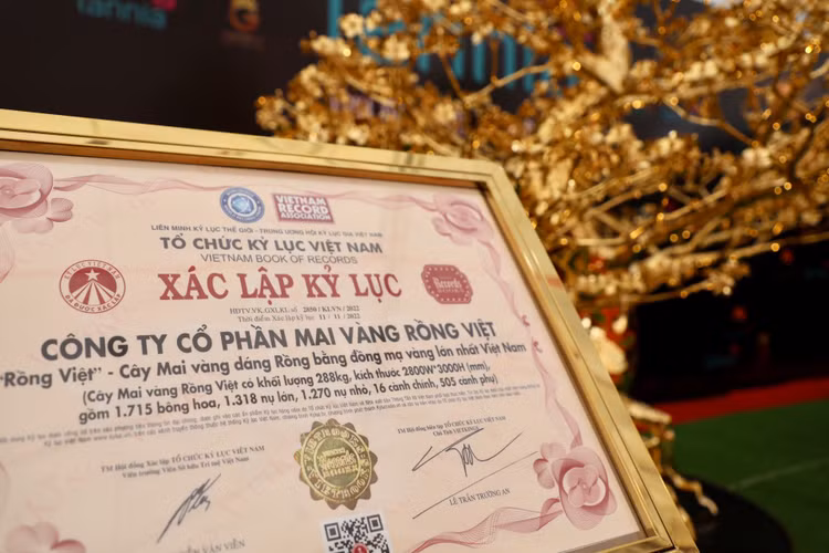 Can canh mai ma vang 24K lon nhat Viet Nam gia gan 6 ti-Hinh-5