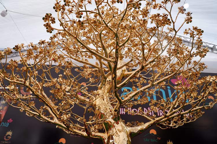 Can canh mai ma vang 24K lon nhat Viet Nam gia gan 6 ti-Hinh-3