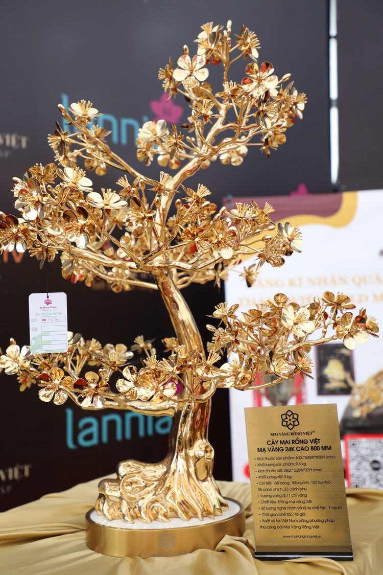 Can canh mai ma vang 24K lon nhat Viet Nam gia gan 6 ti-Hinh-9