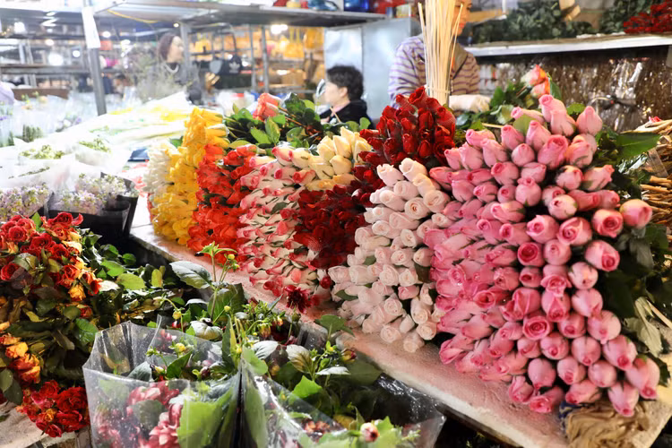 Trai nghiem cho hoa dem lon nhat Ha Noi ngay cuoi nam-Hinh-2