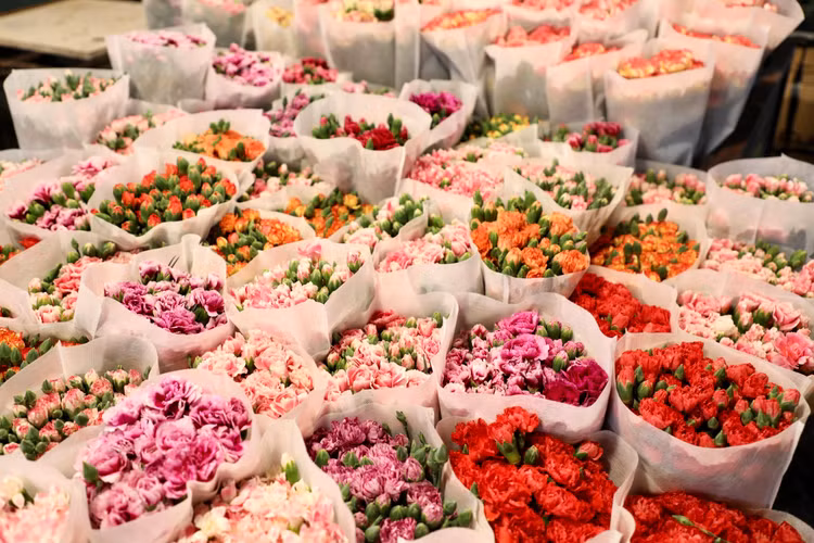 Trai nghiem cho hoa dem lon nhat Ha Noi ngay cuoi nam-Hinh-6