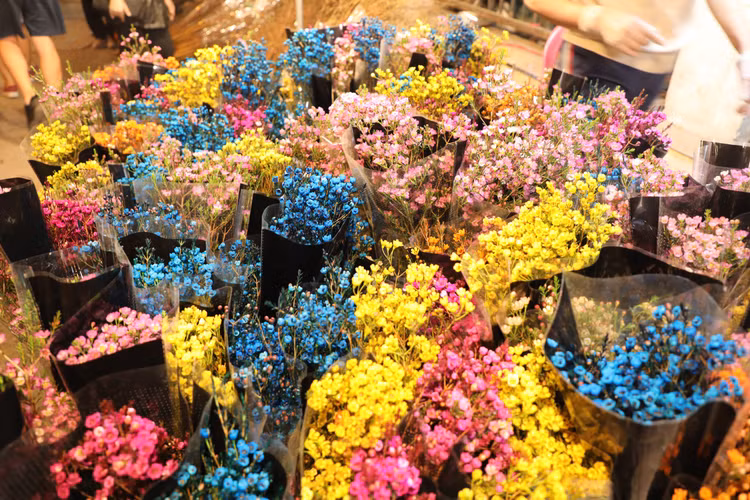 Trai nghiem cho hoa dem lon nhat Ha Noi ngay cuoi nam-Hinh-8