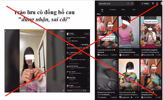 Nhieu noi dung xau doc, TikTok bi kiem tra trong 15 ngay