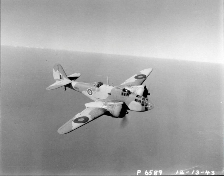 Tho lan phat hien xac may bay nem bom cua quan Dong minh-Hinh-5