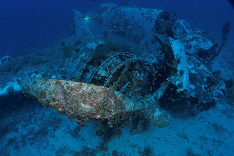 Tho lan phat hien xac may bay nem bom cua quan Dong minh-Hinh-3