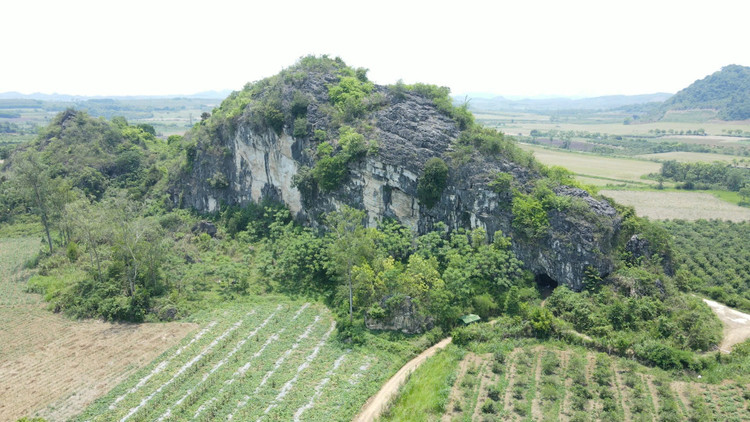 Tin moi ve 18 hop so phat hien trong hang da o Nghe An-Hinh-7