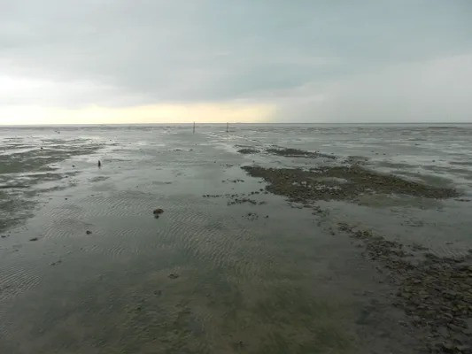 Bi an con duong chet choc khien hon 100 nguoi mat mang-Hinh-10