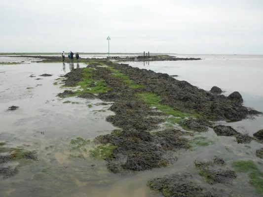 Bi an con duong chet choc khien hon 100 nguoi mat mang-Hinh-6