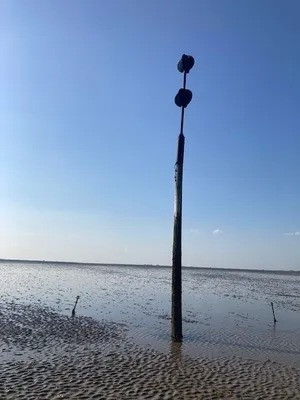 Bi an con duong chet choc khien hon 100 nguoi mat mang-Hinh-9