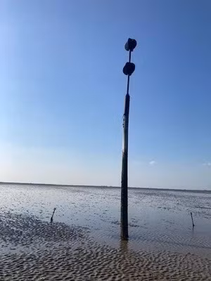 Bi an con duong chet choc khien hon 100 nguoi mat mang-Hinh-9