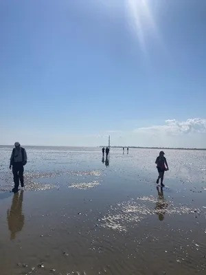 Bi an con duong chet choc khien hon 100 nguoi mat mang-Hinh-8